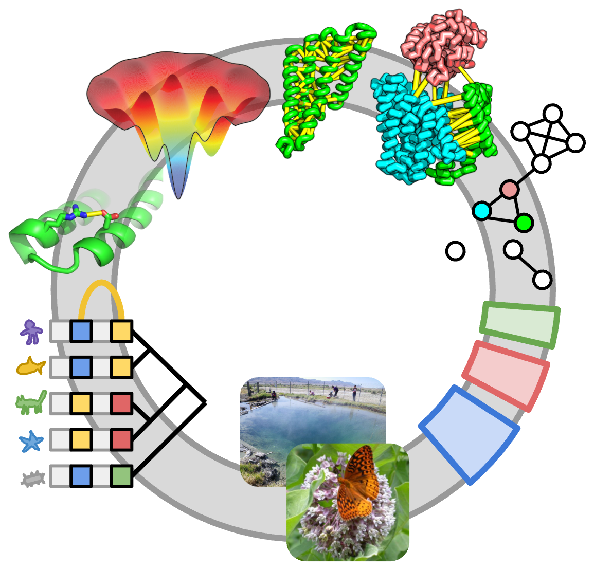From sequences to contacts to protein folding to structures to networks to genomes to evolution — a circular diagram of protein evolution.