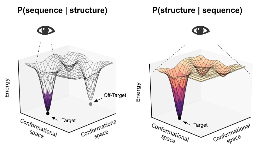 The protein conformational landscape: P(sequence | structure) and P(structure | sequence).