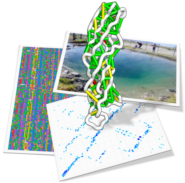 Mining metagenomic dark matter: multiple sequence alignments, structures, and contact maps.