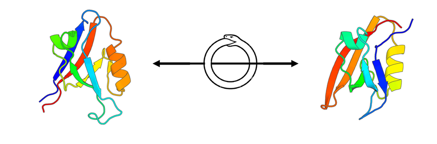 CIRPIN